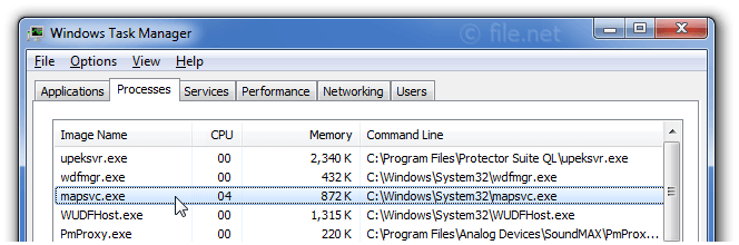 Windows Task Manager with mapsvc