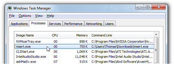 Windows Task Manager with msert