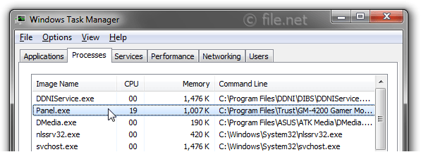 Windows Task Manager with Panel